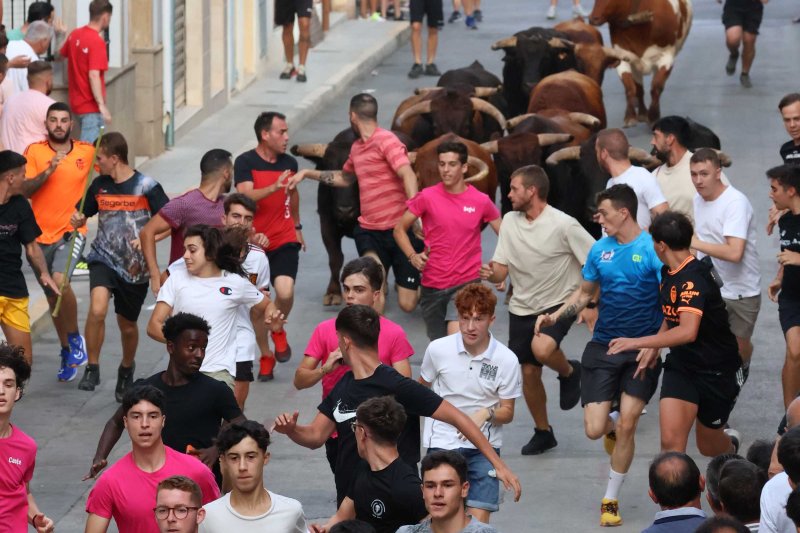 Els Coves s’enduu tots els premis del Concurs de Ramaderies de les Festes de Pedreguer Els Coves s’enduu tots els premis del Concurs de Ramaderies de les Festes de Pedreguer